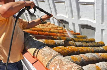 Professional Roof Cleaning